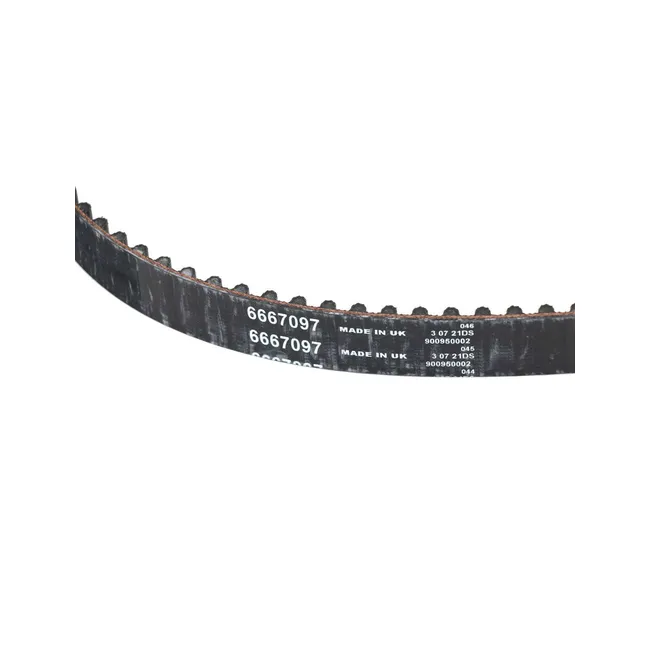 Bobcat 6667097 Timing Belt, 6667097