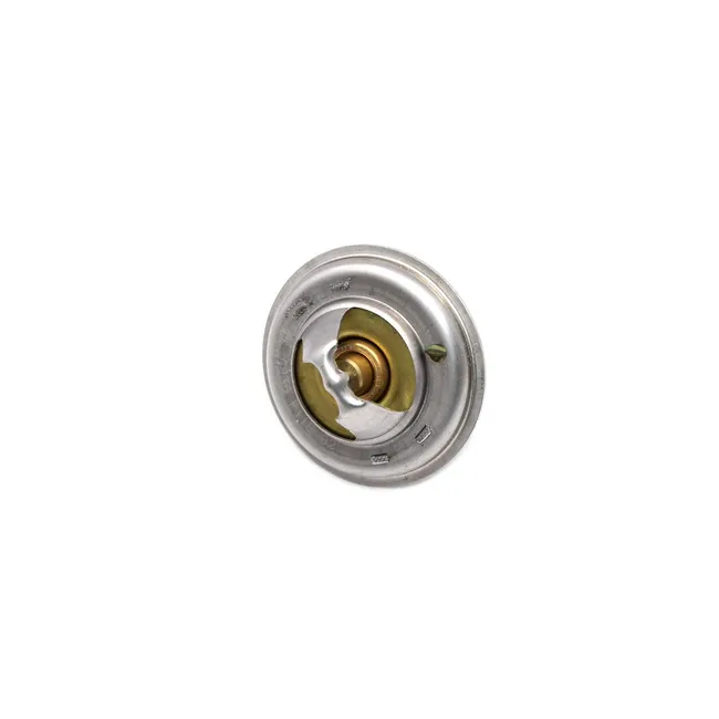 Bobcat 6672299 Thermostat, 6672299