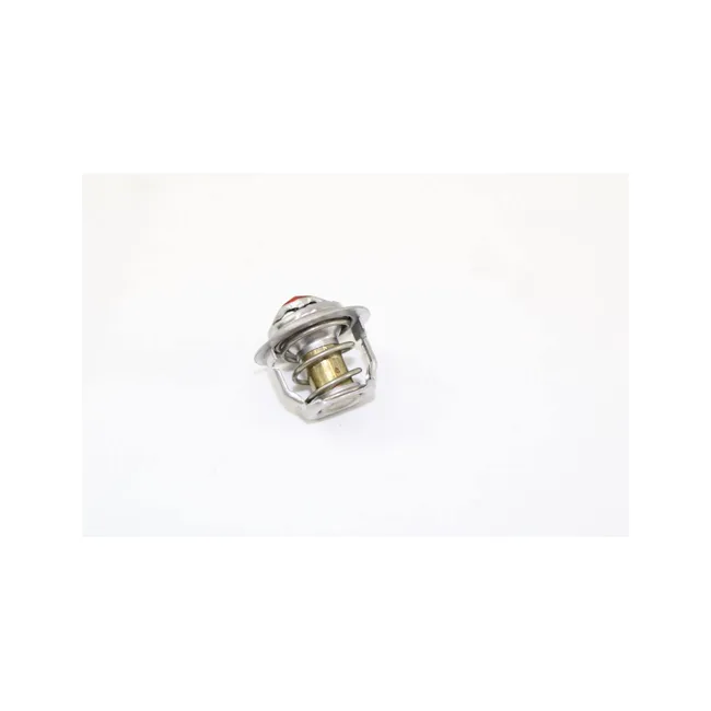 Bobcat 6674172 Thermostat, 6674172