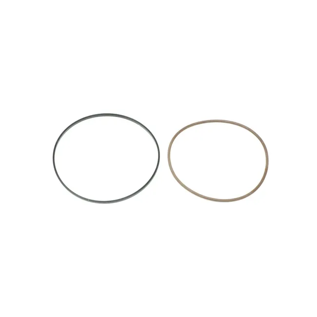 Bobcat 6675878 Hydrostatic Motor and Brake Seal, 6675878