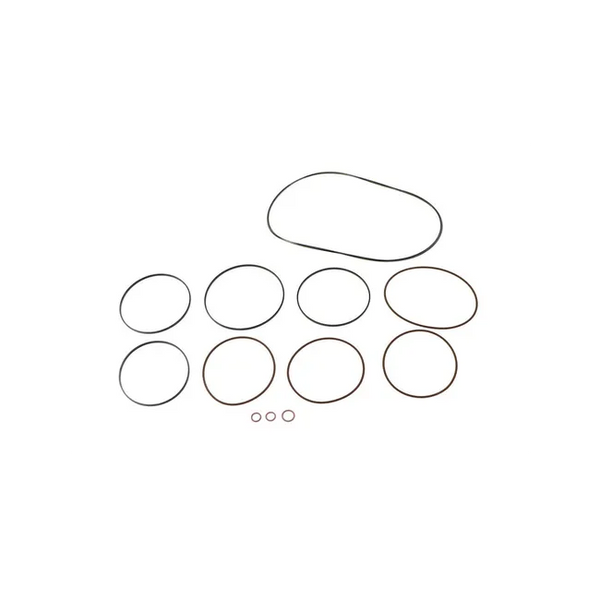 Bobcat 6676949 Motor Seal Kit, 6676949