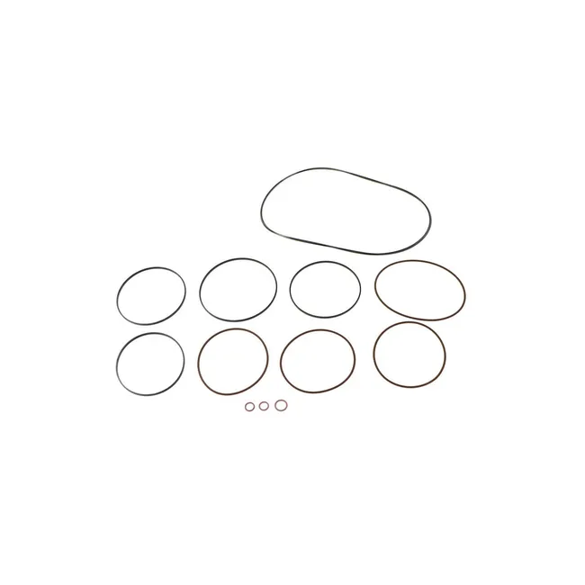 Bobcat 6676949 Motor Seal Kit, 6676949