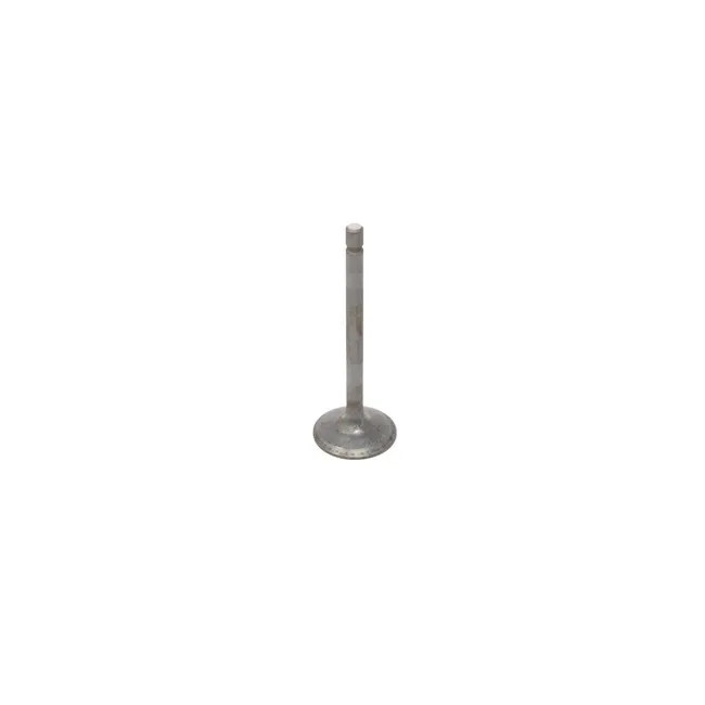 Bobcat 6680861 Valve Intake, 6680861