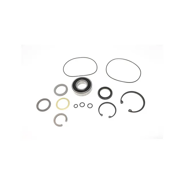 Bobcat 6684032 Seal Kit, 6684032