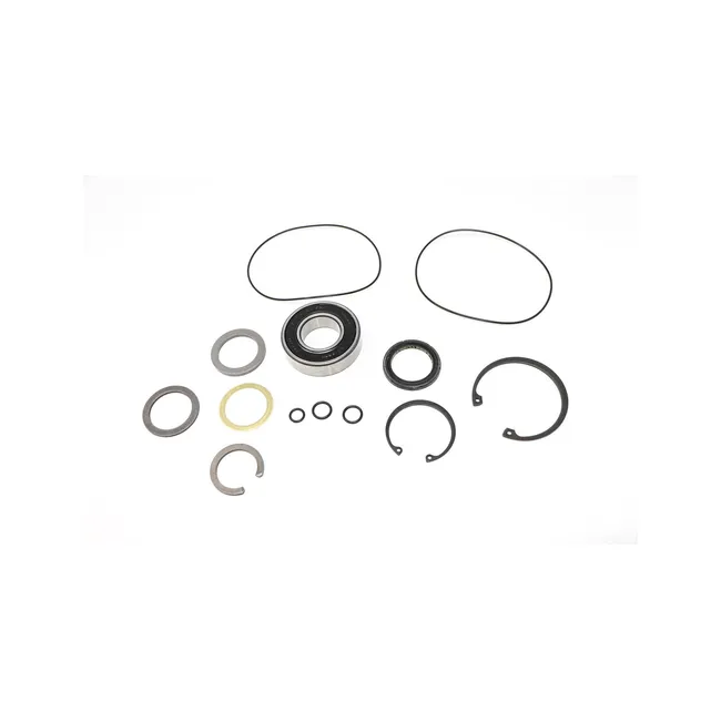 Bobcat 6684032 Seal Kit, 6684032