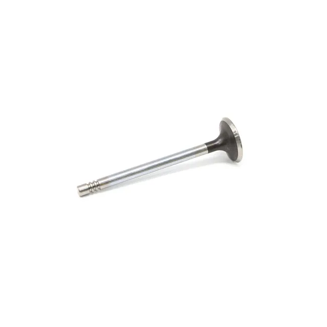 Bobcat 7030458 Intake Valve, 7030458