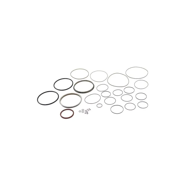 Bobcat 7255578 Hydrostatic Motor Seal Kit, 7255578
