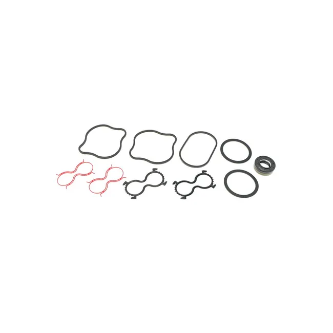 Bobcat 7300197 Seal Kit for VersaHandler Telehandlers, 7300197