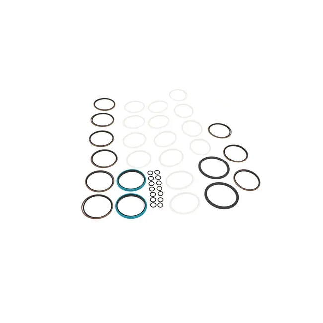 Bobcat 7300855 Swivel Seal Kit, 7300855