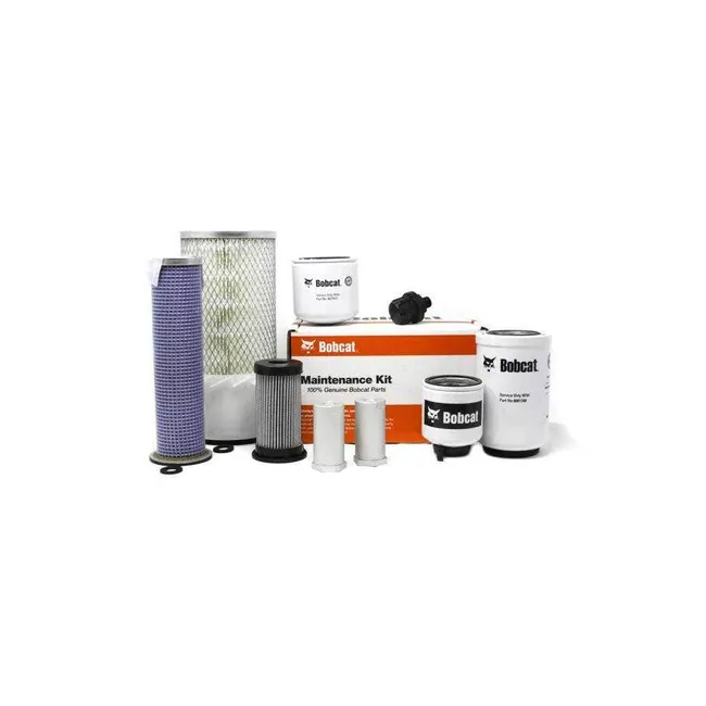 Bobcat 7330961 1000/2000 Hour Maintenance Kit, Canister Filter, 7330961