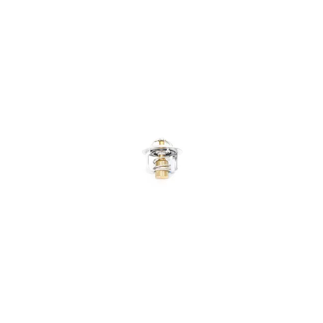 Bobcat 7384373 Thermostat, 7384373